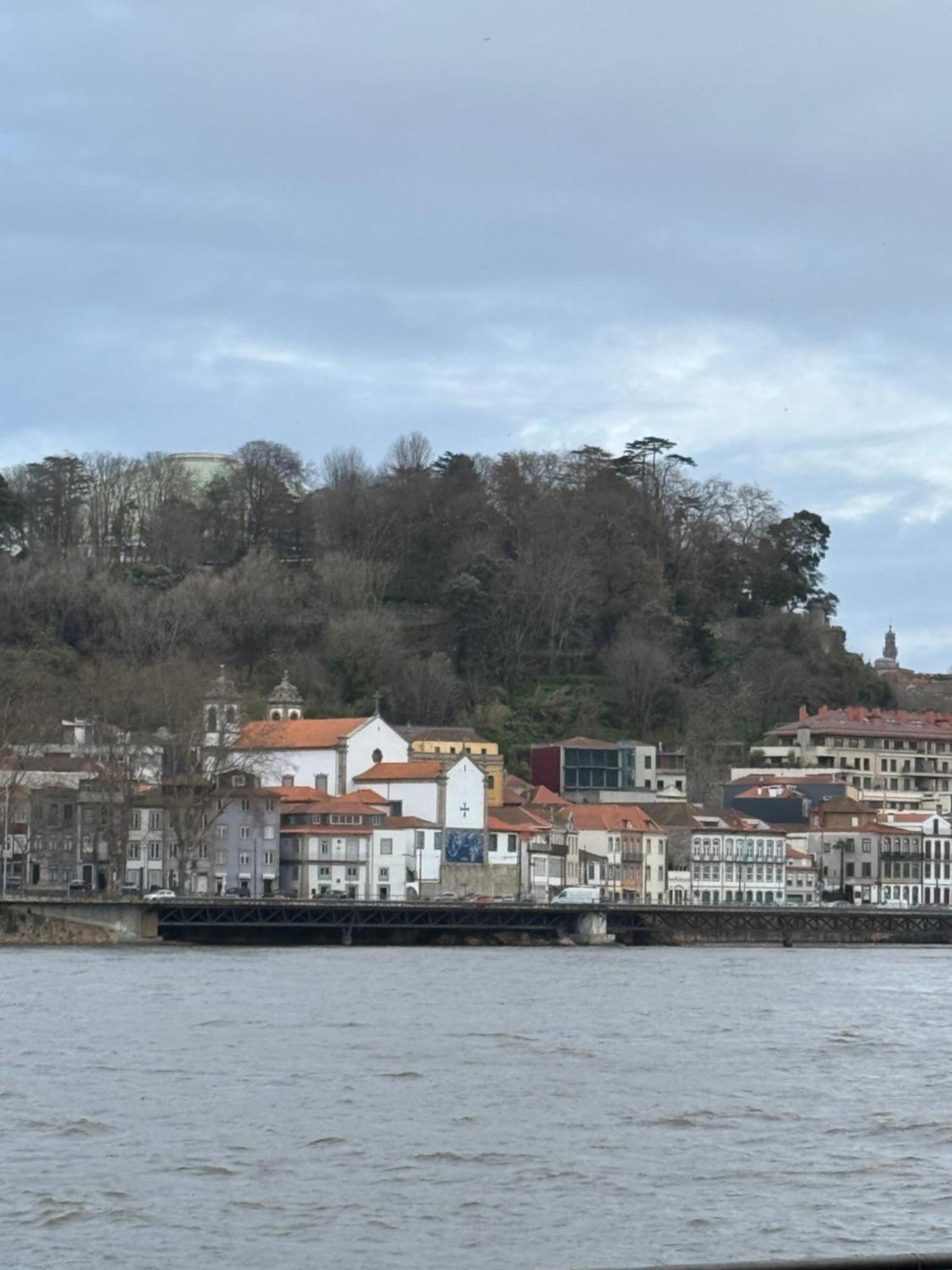 Amazing Studio Douro River Views 波尔图 外观 照片